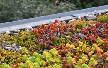the cost of Chedington green roof installation