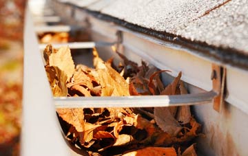Chedington gutter cleaning companies