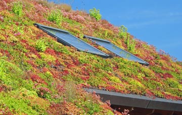 Chedington living roof systems